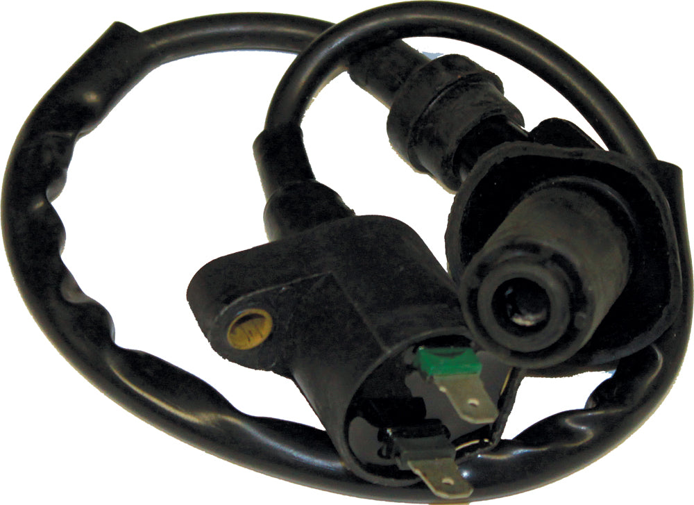 Engine Ignition Coil