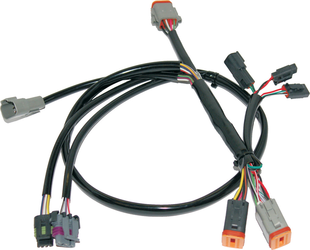 Ignition/EFI Wiring Harnesses