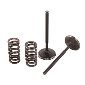 Pro X Steel Intake Valve/Spring Kit for Honda